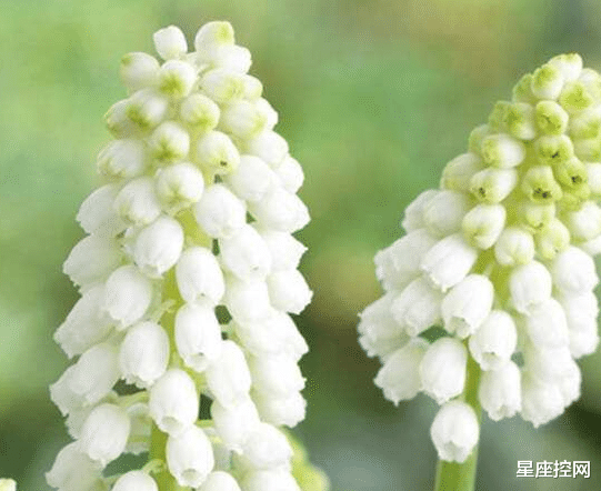 |哪些月份出生的人，前几年总过苦日子，未来1年事业腾飞，收入高