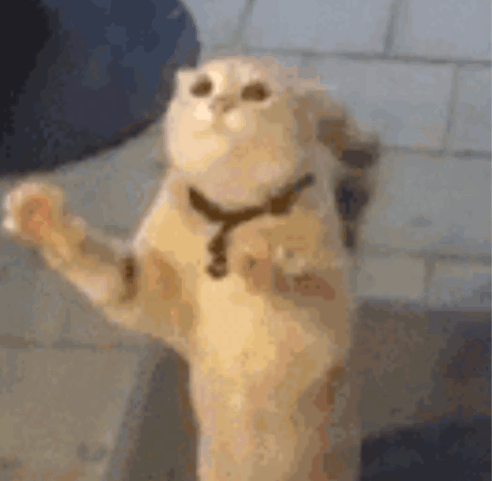 芒果帮女郎 “致楼上邻居的一封信”走红网络