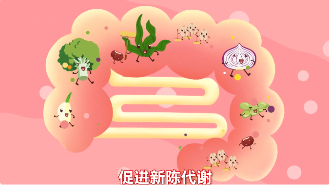 基于科学实验基础的肠道菌群与亚健康状态的联系