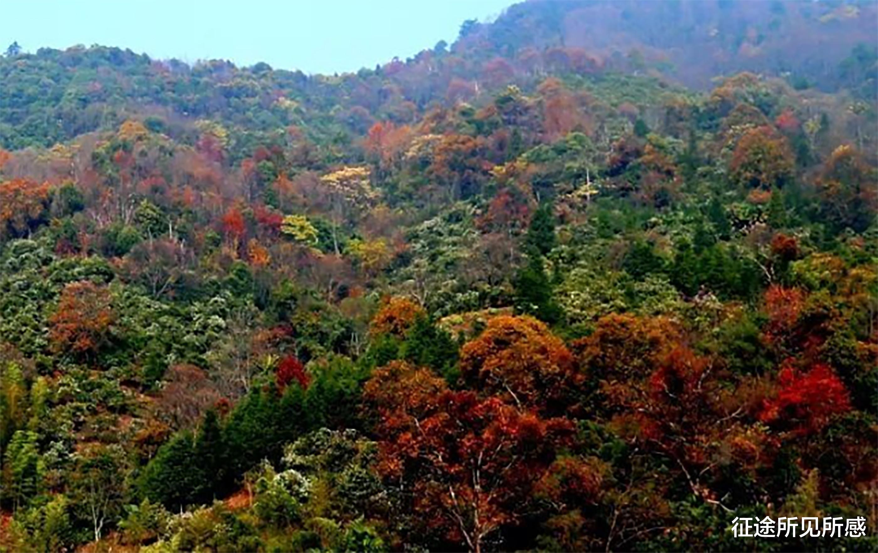 征途所见所感 登顶仙姑峰，圆梦江西乐平市第一高峰