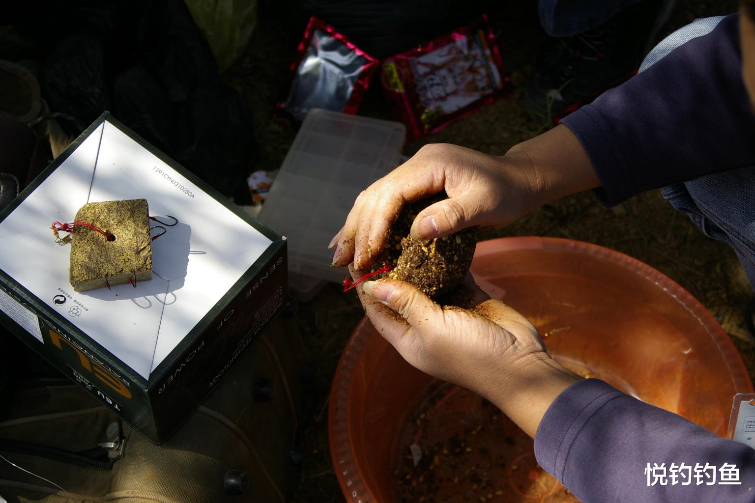 水库|我就纳闷了,为啥我费大劲配的饵还没人家随手捡的芦苇叶好用呢?
