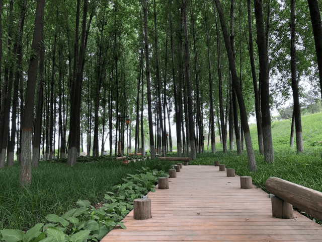 乐游天下旅行 以爱之名520相约沣河之畔的诗经绿道