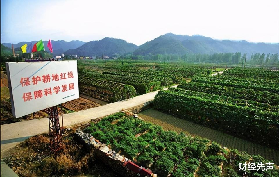 宅基地|农村盖房被“叫停”？有3类自建房将被拆除，家在农村的要留意了