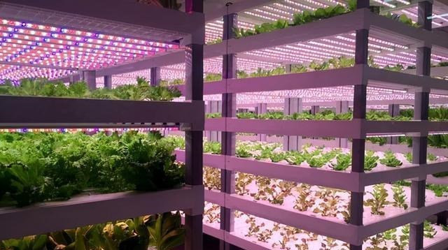 国际空间站坚持太空种菜,根本原因是啥?美航局道破种植动机