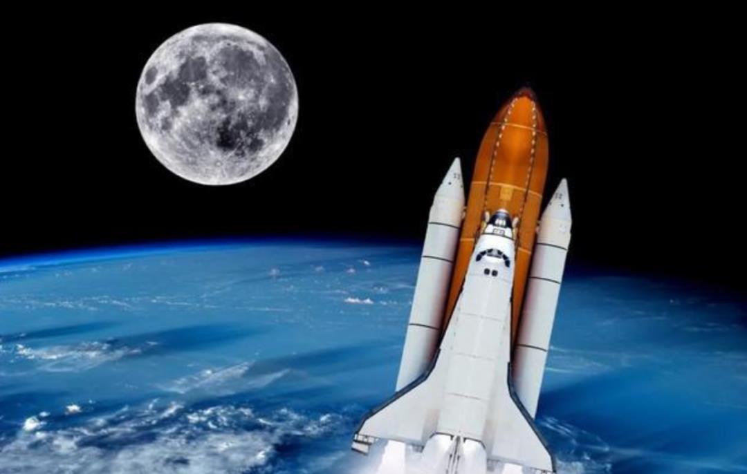 爬行动物 为什么人类永远飞不出太阳系?科学家:有4个原因,个个让人绝望