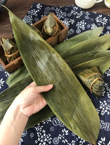 粽子|包粽子，用“干粽叶”还是“鲜粽叶”？很多人不懂，其中区别很大
