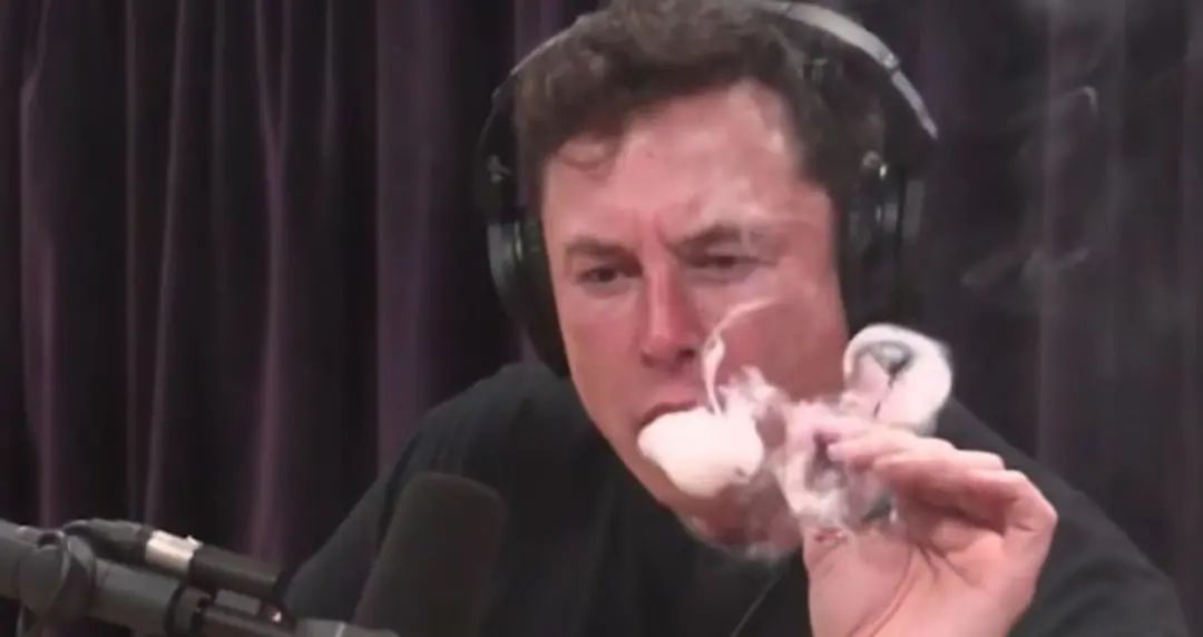 伊隆·马斯克 马斯克，丫就是个搅屎棍