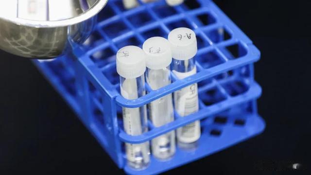 专访港大医学院副教授陈福和:为什么可以第一个分离出Omicron