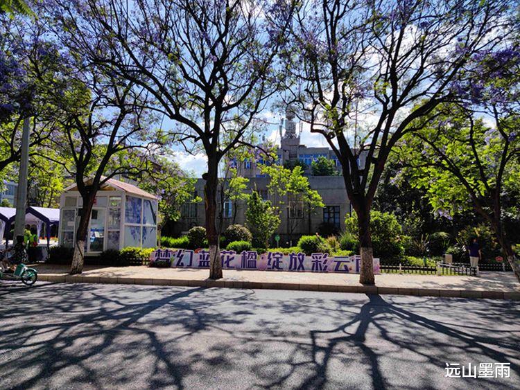 远山墨雨 盘点时下昆明最热的网红打卡地，教场中路的蓝花楹，定会榜上有名
