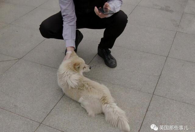 东丞侃天下 好想你，在武汉封城期间陪伴了我2个月……现在，你在哪？