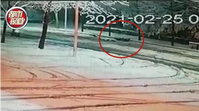 河南都市频道 行人雪中被撞重伤昏迷,监控拍下司机令人愤怒一幕