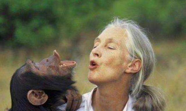 科学家 人类与猩猩基因相同？女科学家为验证以身试险，精神值得敬佩