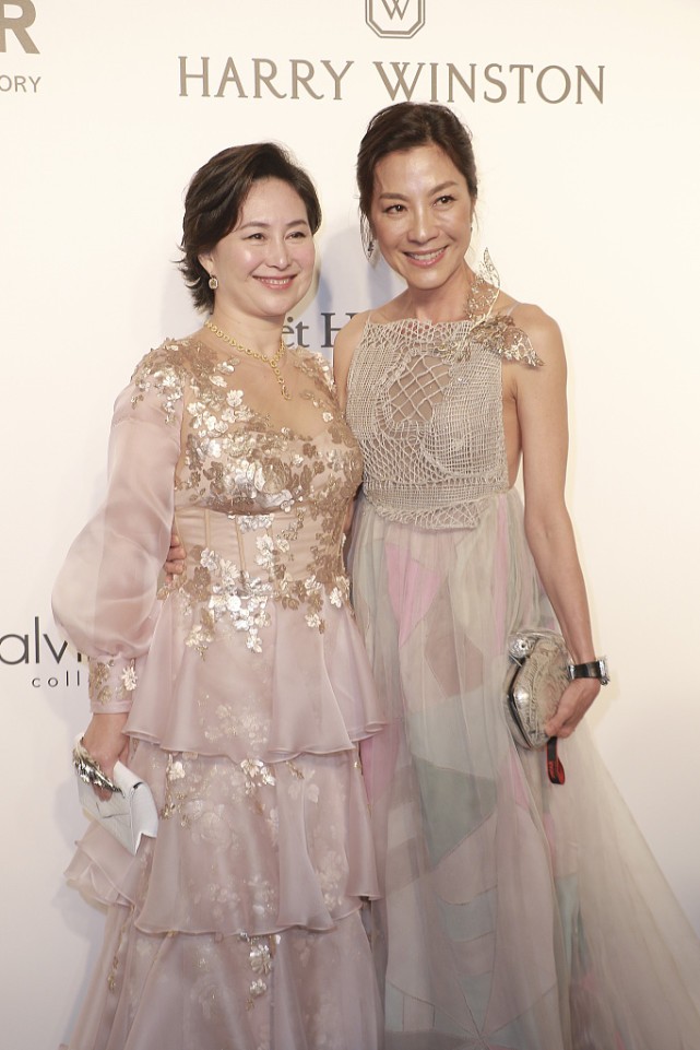 BiuVogue|杨紫琼的气场有多强？就算和富豪何超琼穿的像，气场也不输