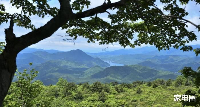 商業模式|激活家電存量市場，不能“以舊換新”降價還得商業模式創新