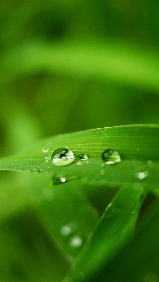 天若星河 他不洁身自好，身染绝症，才知后悔，然而有什么用呢？