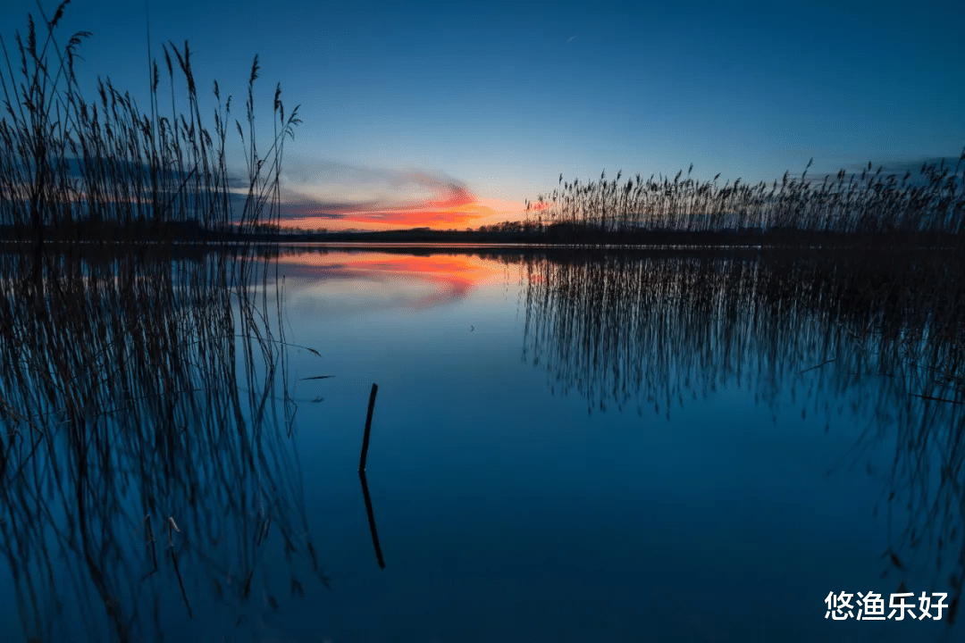 |钓鱼界十大未解之谜