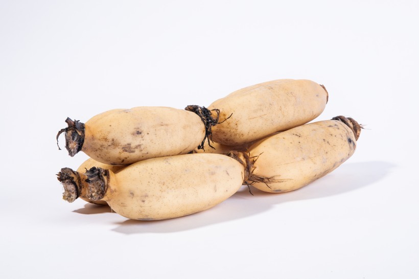 买莲藕时，怎么区别粉藕跟脆藕种藕人教你3招，一挑一个准