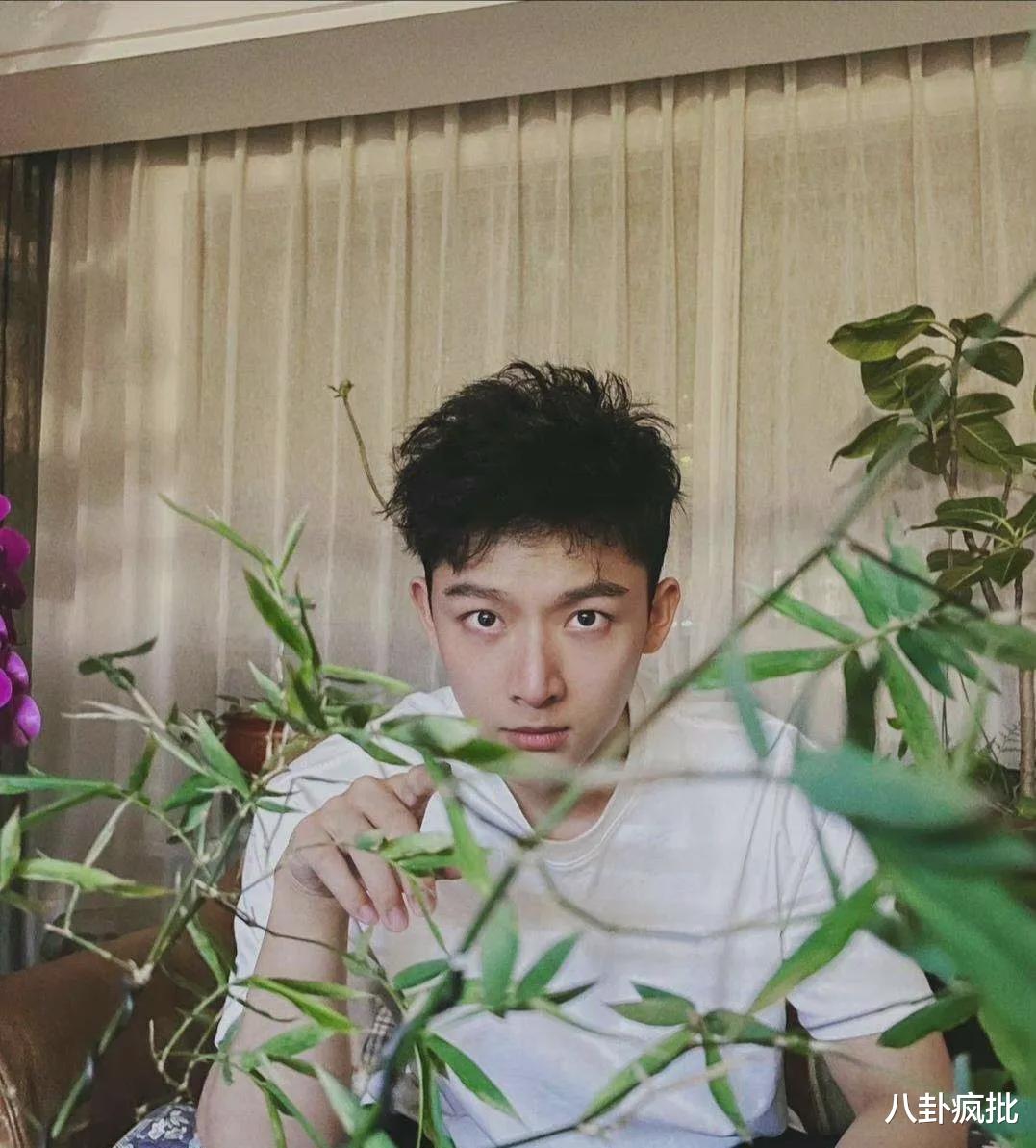 张晚意|成龙潜规则刘浩存？赵丽颖代言微商？张晚意塌房？黄渤回应出轨