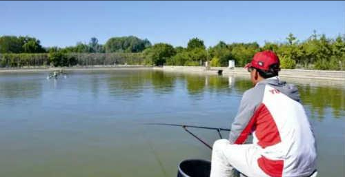 三水|黑坑老板的无奈:钓友亏钱,黑坑老板亏本,他们亏的钱去了哪里?