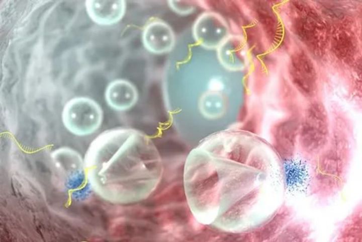 中科西部干细胞研究院：干细胞终结我们的皮肤衰老
