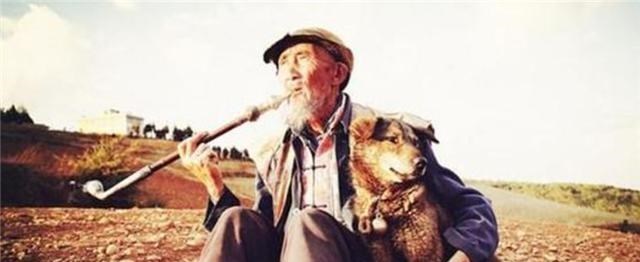 苍井空|电影《老人与狗》：主演杀人，恶狗吃人肉，拍完后人狗皆被枪毙