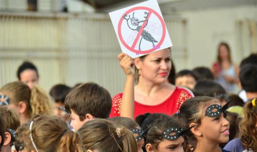 蚊子 基因蚊子能消灭野生蚊子吗?巴西用惨痛教训给了我们答案