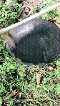 张卫健|“猜猜我在张卫健版本的西游记里发现了谁？”鸡你太美？哈哈哈