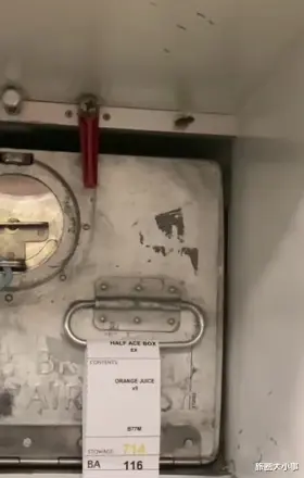 吓坏空姐了!英国航空在飞机上发现蟑螂!