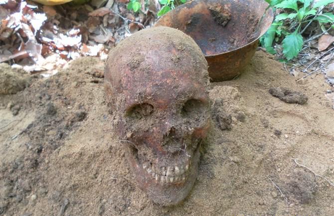 日军|小兴安岭密林中发现侵华日军遗骨,还有身份牌 历史不可否认