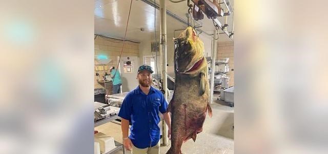 若珍|查干湖的“秘密”:一条头鱼卖300万,有机鱼为何“捕不完”?