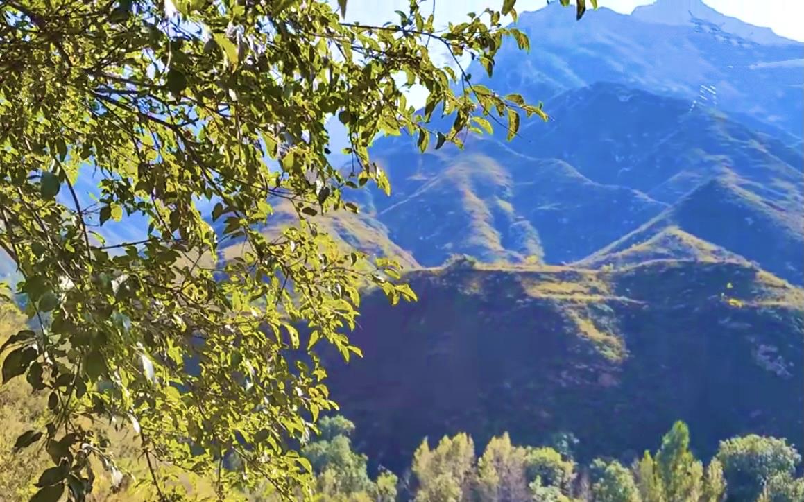 浦东新区 20岁尼姑在台外的大山洞里苦修，一住就是50年