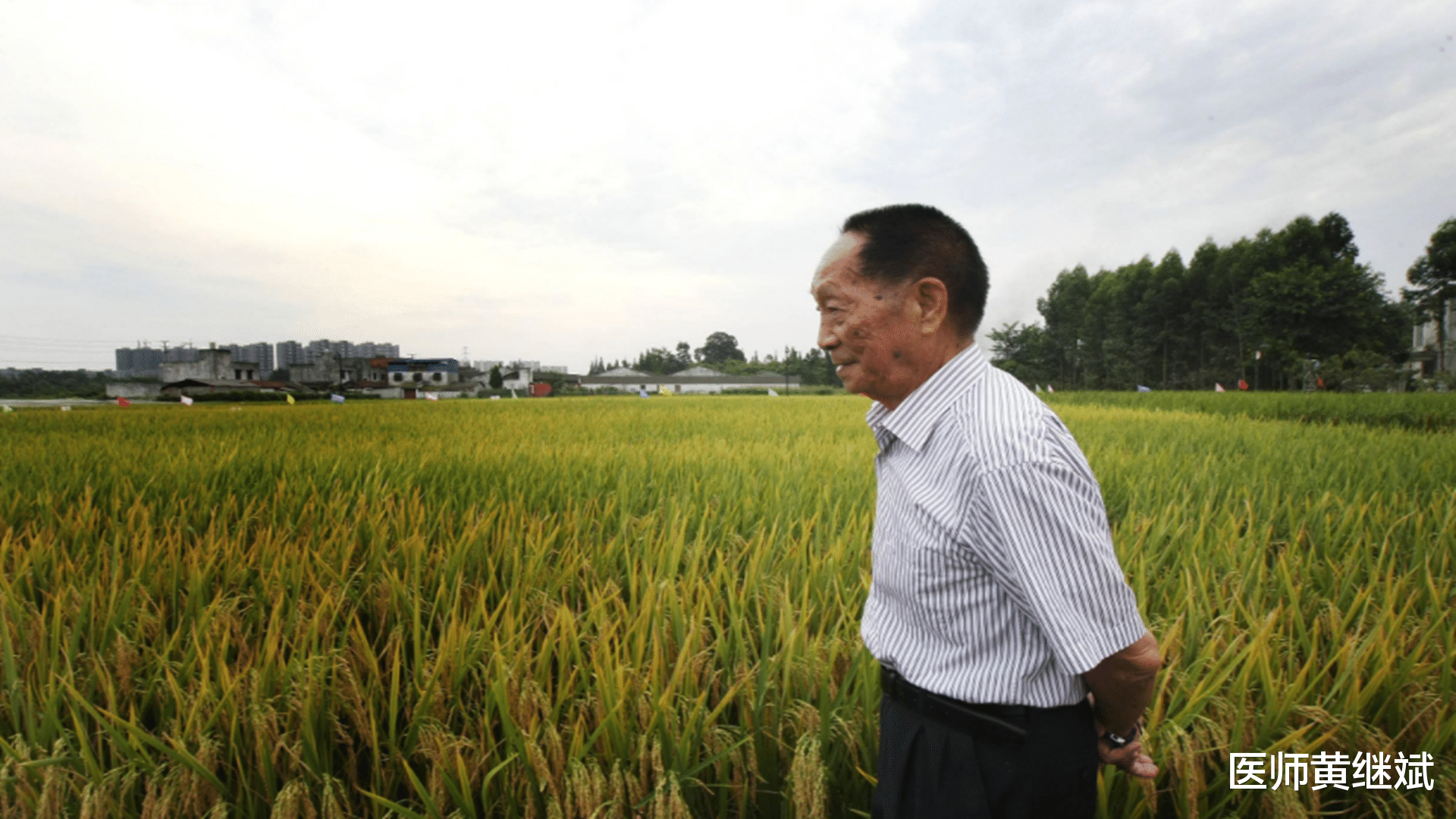医师黄继斌 健康需要吃出来，超级杂交水稻之父袁隆平，感谢袁老的付出
