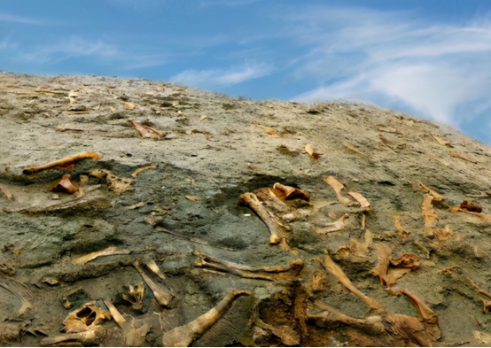 濒危物种 第六次大灭绝已开始,人类有办法躲避吗?地球恢复平衡需要多久?