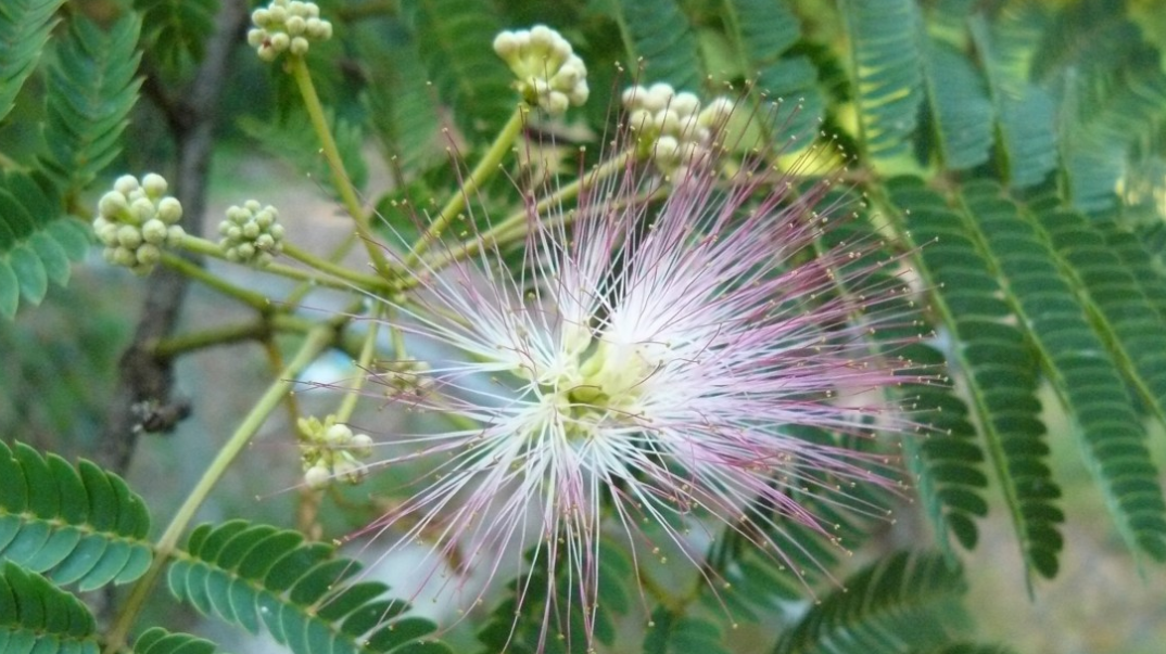 真爱不迟到|6月末，朝花夕拾，真爱不迟到，3生肖不争不抢，缘分恰到好处，恩爱不散