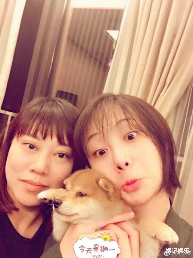 郑爽|郑爽被指庭审发疯后,马天宇发文显愤怒,网友:谢谢能为她讲话