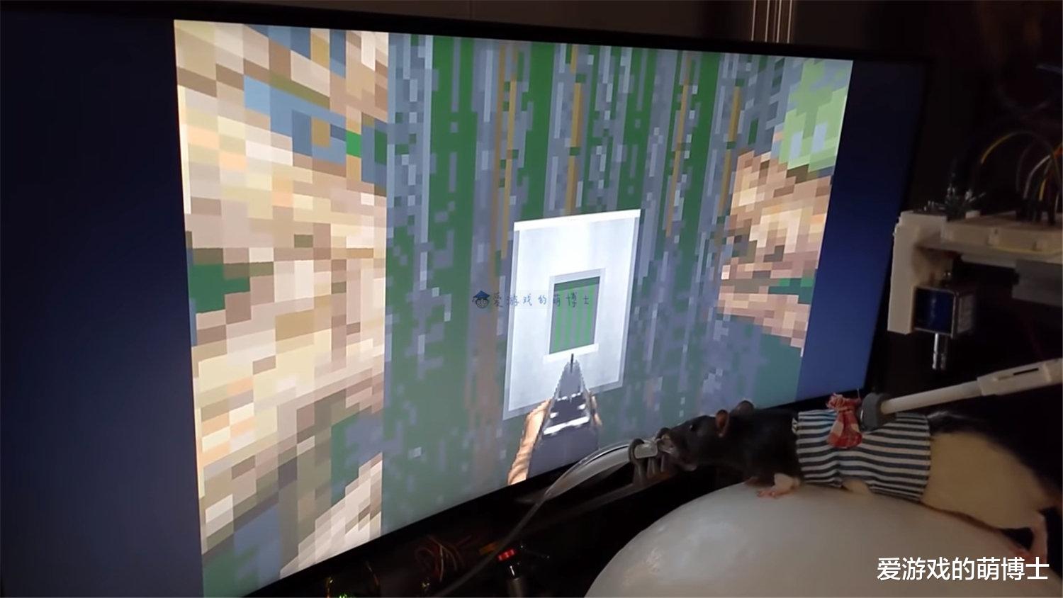 毁灭战士2|说出来你肯定不信，老鼠用VR游戏设备畅玩《毁灭战士2》