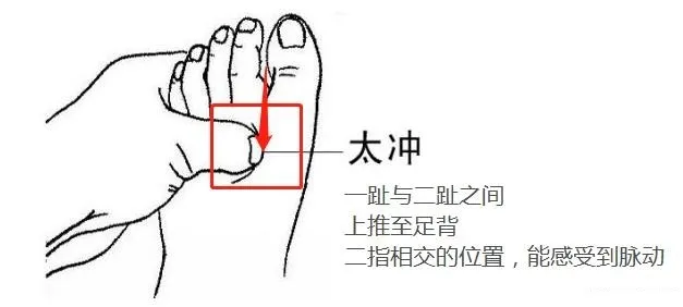 红枣|大暑艾灸,排毒泄旧病!抓住中伏冬病夏调,养生绝佳好时机!