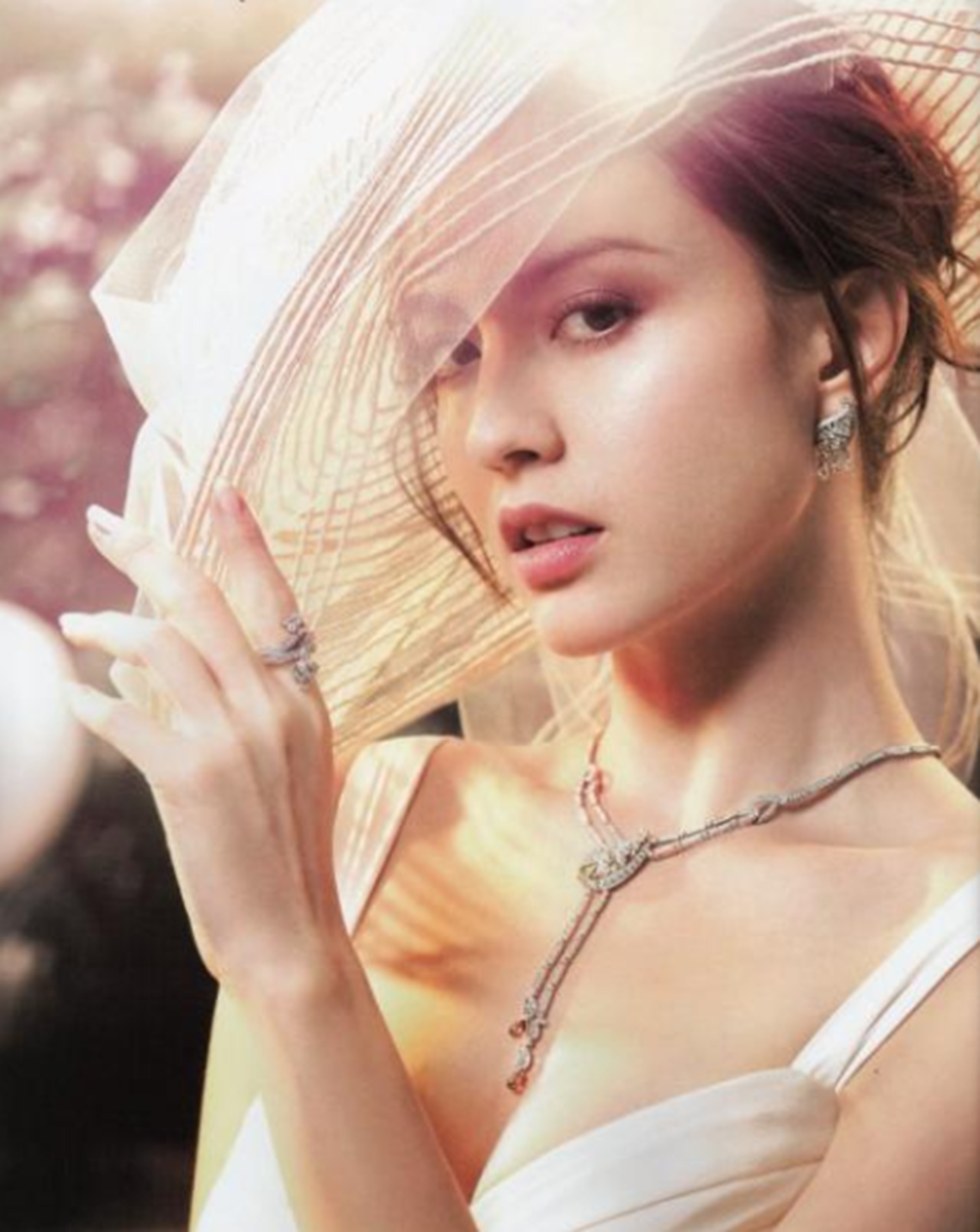 范晓萱|最强小三:逼正室离婚,五年3胎获五亿财产,向太劝她趁年轻嫁人