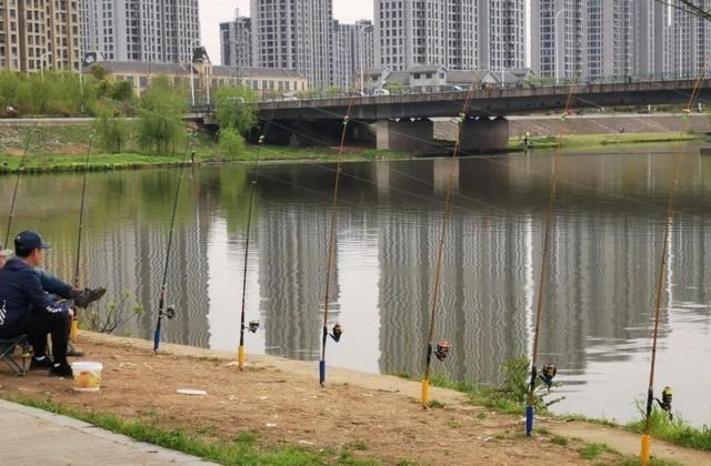 |钓鱼圈也存在鄙视链？野钓黑坑吵得最凶，路亚在角落瑟瑟发抖