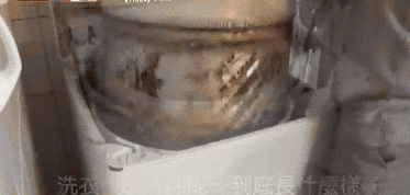 洗衣机3个月不洗，比马桶还脏！教你这么做，干净清新无异味