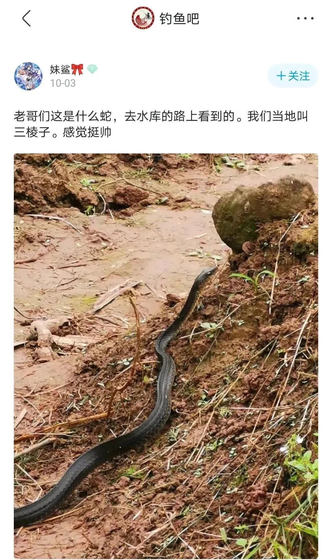 |戒色吧、抗压吧、钓鱼吧，简直是神奇的存在啊！