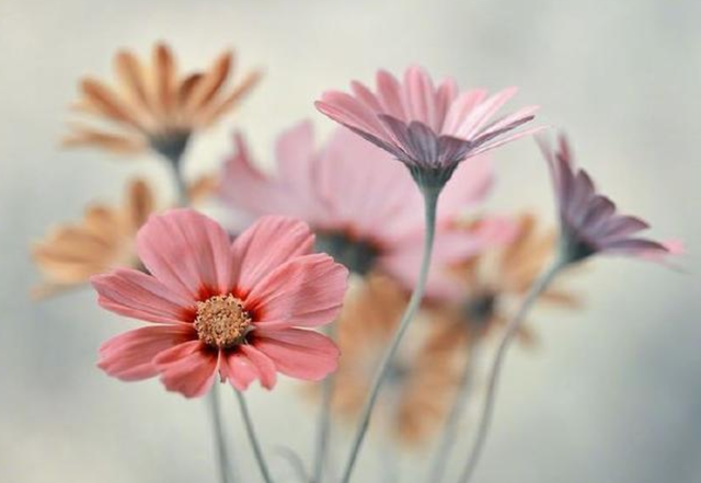 抗衰老|“老得慢”的女人,一般有这4个习惯,坚持这项居家运动很关键