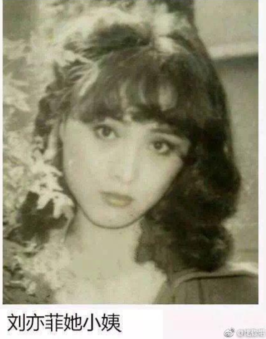 著作权|“天仙”刘亦菲全家最丑？妈妈似高配奶茶妹妹，小姨美得风华绝代