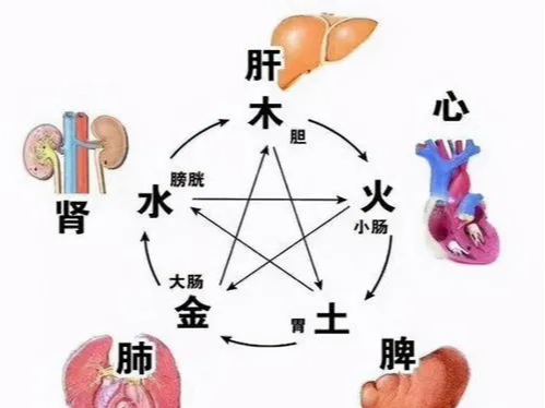 洗髓功志诚|天天练习八段锦对身体的好处很大吗？练习八段锦有什么好处呢？