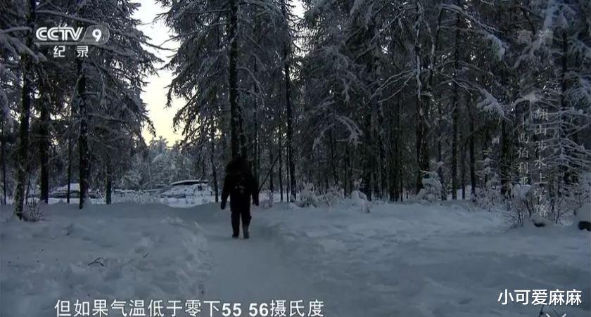 小可爱麻麻|哈佛校长：孩子若不想读书，就带他去3个地方转转，比打骂更管用