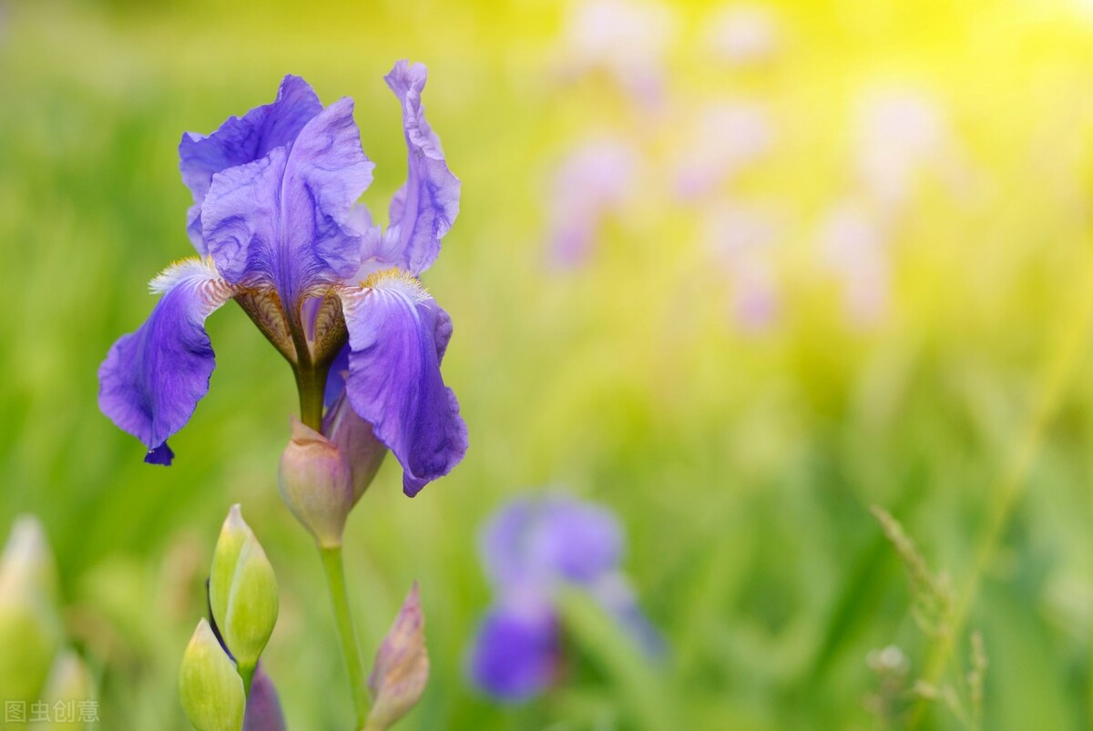 章晓娴|39岁出轨女人坦言：虽然我在婚外有情人，但我是一个好女人