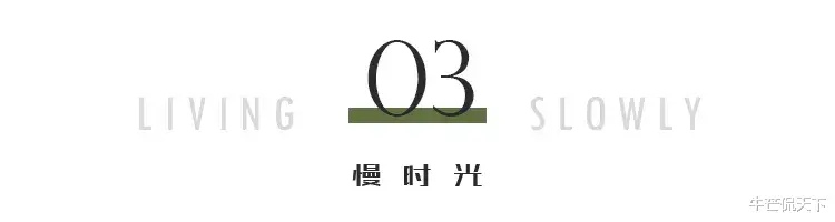 陈冠希|“艳照门”13年后，陈冠希?终于“洗白”：或许，该说道歉的是我们
