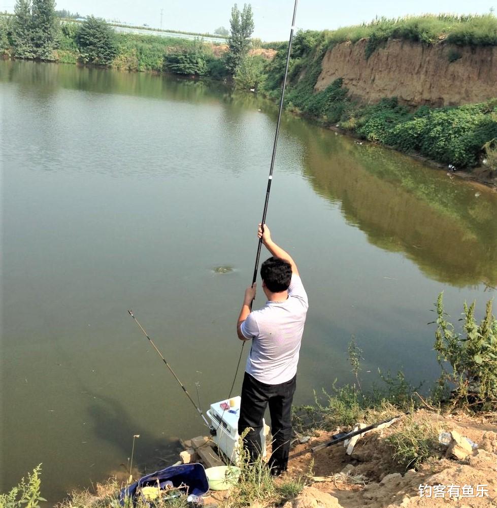 饵料|夏天钓草鱼，掌握简单几点，新手一样连竿
