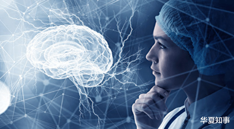 大脑|哈佛营养专家:五类食物有损记忆力和专注力