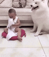 学姐说育儿|“曾经的首富已变得一无所有,只剩下北京264套房子”